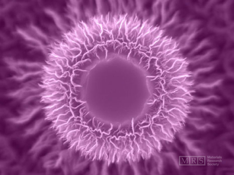 2005-Science-As-Art-6