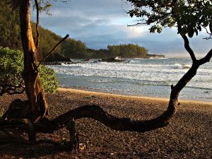 37 KOKI BEACH 0B2