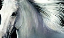 White-Horse-290x290