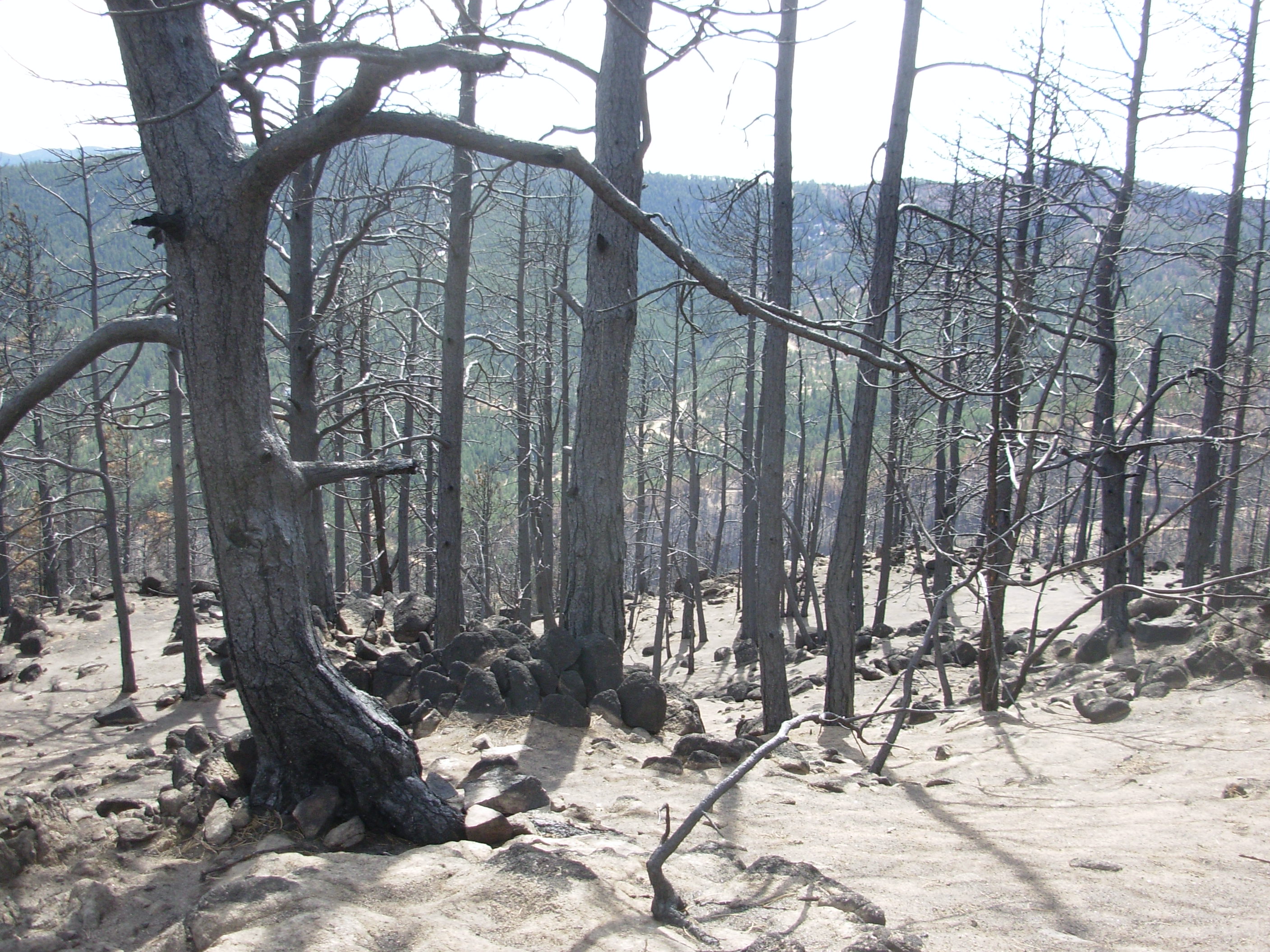 FourMile fire